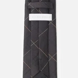 Allen Solly Grey Printed Formal Tie image 4