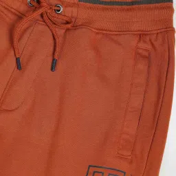 U.S. Polo Assn. Denim Co. Rust Cotton Regular Fit Printed Shorts image 4