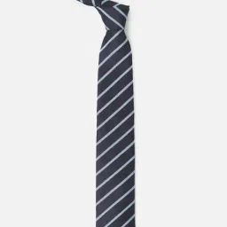 Allen Solly Navy Striped Casual Tie image 2