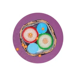 Epcos B32912 Series Polypropylene Film Capacitor 220 nF Capacitance 330 V AC, B32912B3224M (Pack of 10) image 2