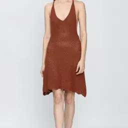 Forever 21 Brown Regular Fit A Line Dress-picture-36