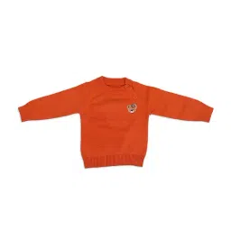 Baby Moo Kids Orange Applique Full Sleeves Sweater-picture-19
