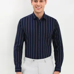 Allen Solly Navy Cotton Slim Fit Striped Shirt-picture-21