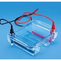 Tarson 7145 Electrode Set For Electrophoresis Unit image 2