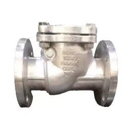 Flowtek 1.57 inch, 40 mm CF8 I.C. Swing Check Valve (NRV) 150# Flange Ends-picture-46