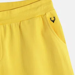 Allen Solly Junior Boys Pure Cotton Regular Fit Shorts image 4