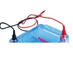 Tarson 7145 Electrode Set For Electrophoresis Unit image 3