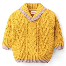 Babyhug Knitted Full Sleeves Collar Neck Pullover Sweater with Cable Knit Design - Mustard-image-41