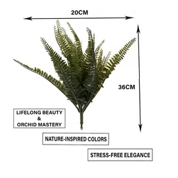 paperi Green 3 Pieces Fern Artificial Plant image 5