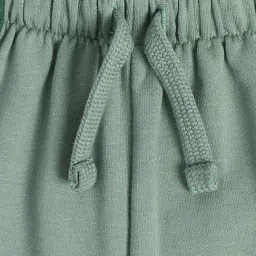 Miniklub Boys Green Regular Fit Knitted Jogger image 3