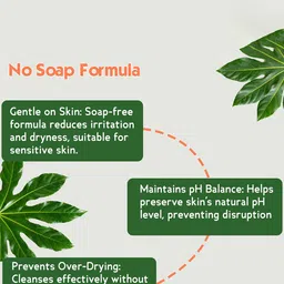 Earthgenix Set Of 2 Papaya Face Wash Scrub With Pro Vitamin B5- 100 ml Each image 5