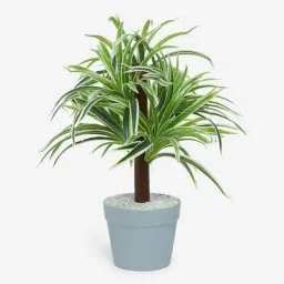 Westside Home Green and White Artificial Dragon Potted Plant-image-22