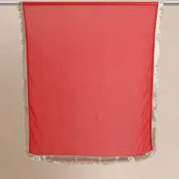 Varanga Red Chiffon Solid Duppatta image 4