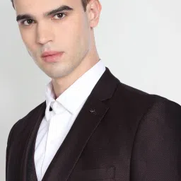 Arrow Purple Regular Fit Self Pattern Three Piece Suit image 4