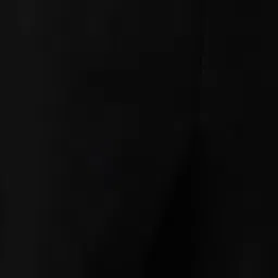 Louis Philippe Black Regular Fit Trousers image 4