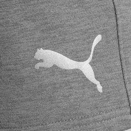 Puma Cool Dark Grey Regular Fit Sports Shorts image 4