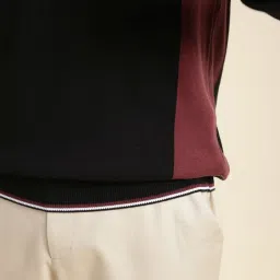 Andamen Burgundy Regular Fit Colour Block Polo T-Shirt image 4