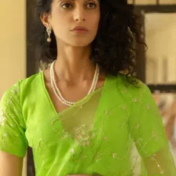 Geroo Jaipur Green Hand Embroidered Aari Work Chiffon Saree image 4