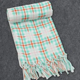 Ramraj Assorted 2 Striped Cotton 170 GSM Bath Towel image 3