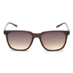 IDEE Brown Square Sunglasses for Men-picture-10