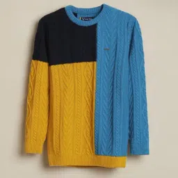 Allen Solly Boys Blue Regular Colorblock Sweater-image-20
