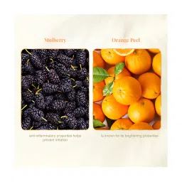 VLCC Anti Tan Skin Lightening Face Wash Buy 1 Get 1 Free - Pack of 3 image 4