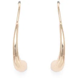 Priyaasi Golden Drop Earrings image 4