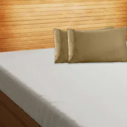 Maspar Sand Beige 100% Cotton 200 TC Pillow Covers - Set of 2 image 1