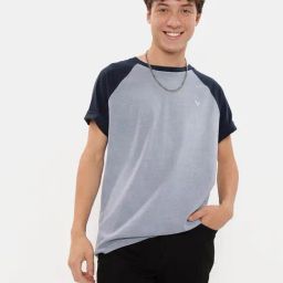 American Eagle Grey Cotton Regular Fit Colour Block T-Shirt-picture-41