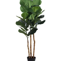 Elemntl Green Core image 5