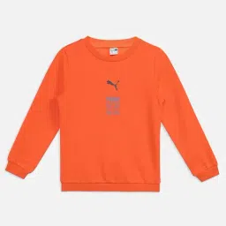 Puma Boys Flame Flicker Cotton Printed Full Sleeves Sweatshirts-picture-22