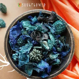Soulflower Navy Natural Herbs Potpourri (Walk In The Wood) - Set of 1 image 1