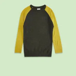 Pantaloons Junior Black & Yellow Color Block Full Sleeves Sweater-picture-38