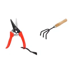 Sky Blue Sk_Bl_Pruner0051 0.98 inch Iron Bypass Pruner (Pack of 2)-image-28