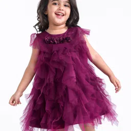 Babyhug Sleeveless Party Frock with Frill Detailing Floral Applique - Wine-picture-11