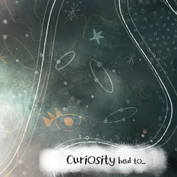 scholastic Not So Fairy Fairy Tale: Curiosity (Part Of A Series Called Not So Fairy Fairy Tales) Picture Books Agnieszka Chojnacka - English image 3