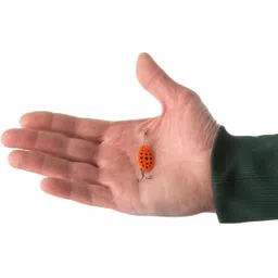 caperlan WETA + _DIESE_2 ORANGE BLACK DOTS PREDATOR FISHING SPINNER image 3