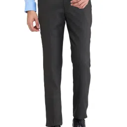 Park Avenue Brown Regular Fit Texture Trousers image 1