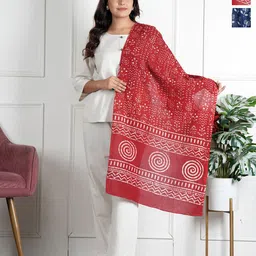 Style Shoes Women Printed Stole-picture-29