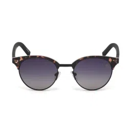 Timberland Purple Cat Eye Sunglasses for Men-picture-13