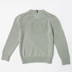 TOMMY HILFIGER Boys Green Logo Embroidered Regular Fit Sweater image 2