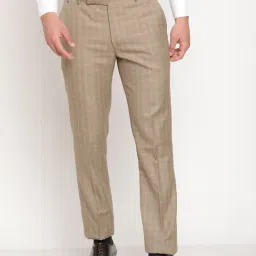 Cantabil Beige Cotton Regular Fit Checks Trousers-image-27