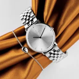 Nordgreen NR28SI5LSICS Native Analog Watch for Men image 1