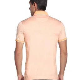 Arrow Peach Cotton Regular Fit Striped Polo T-Shirt image 2