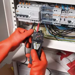CHAUVIN ARNOUX LED Voltage Tester 690 V AC 750V dc Continuity Check Battery Powered CAT IV With RS, P01191742Z image 2