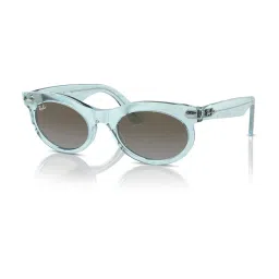 RAY-BAN Unisex Gradient Blue Lens Oval Sunglasses - 0RB224213859653 image 1