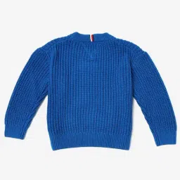 TOMMY HILFIGER Boys Blue Regular Fit Sweater image 2