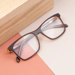 Ted Smith Brown Wayfarer Unisex Eye Frames image 1