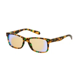 Polaroid Havana Rectangular Unisex Reading Glasses image 1