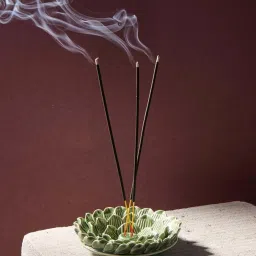 Fabindia Home Green Ceramic Roma Glazed Incense Holder image 1